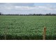 Yabba North VIC 3646