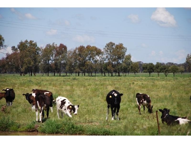Numurkah VIC 3636