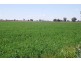 Numurkah VIC 3636