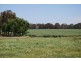 Numurkah VIC 3636