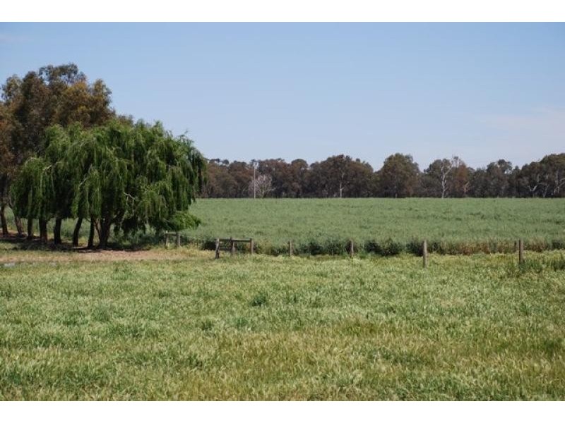 Numurkah VIC 3636