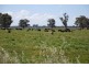Numurkah VIC 3636