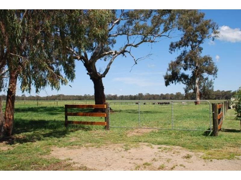 Numurkah VIC 3636