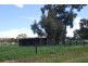 Numurkah VIC 3636