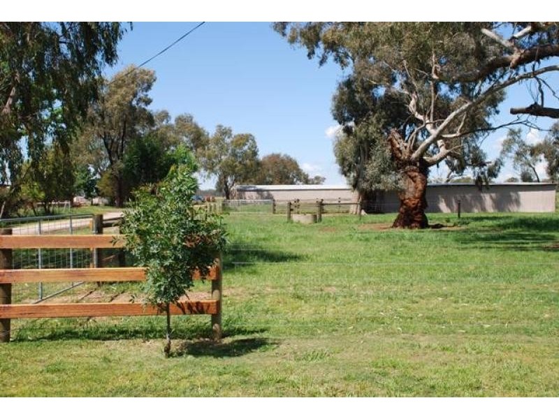 Numurkah VIC 3636