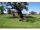 Numurkah VIC 3636