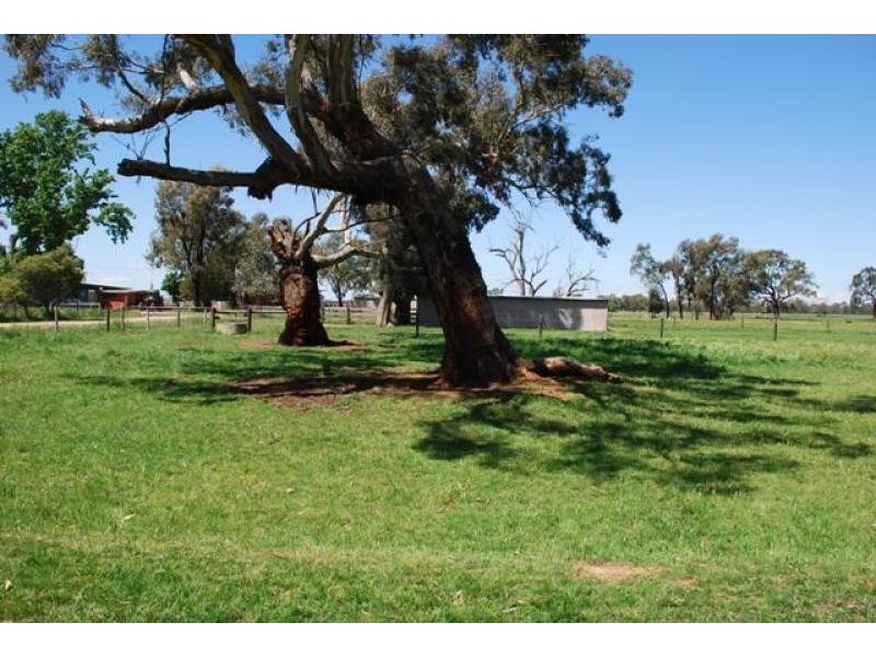 Numurkah VIC 3636