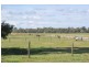 Numurkah VIC 3636
