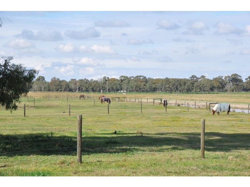 Numurkah VIC 3636