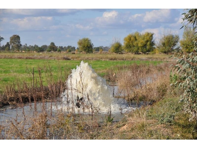 50 Zeerust School Road, Zeerust VIC 3634