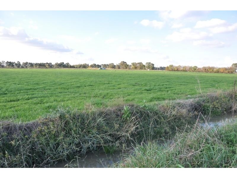 50 Zeerust School Road, Zeerust VIC 3634