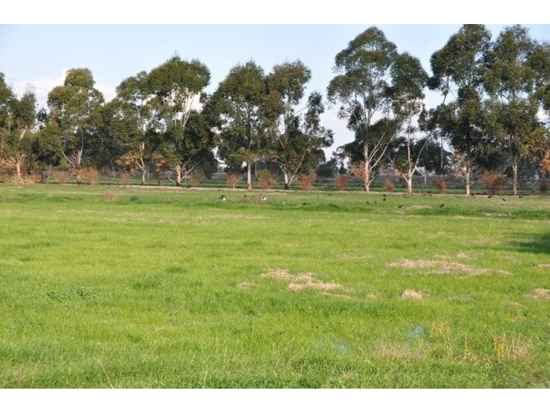 50 Zeerust School Road, Zeerust VIC 3634