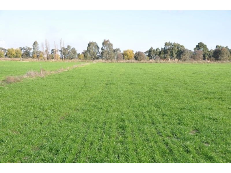 50 Zeerust School Road, Zeerust VIC 3634