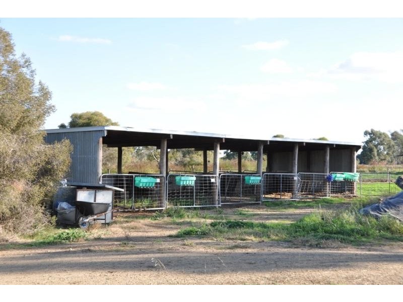 50 Zeerust School Road, Zeerust VIC 3634