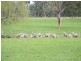 Lot 1 Boyup Brook Donnybrook Rd, Wilga WA 6243