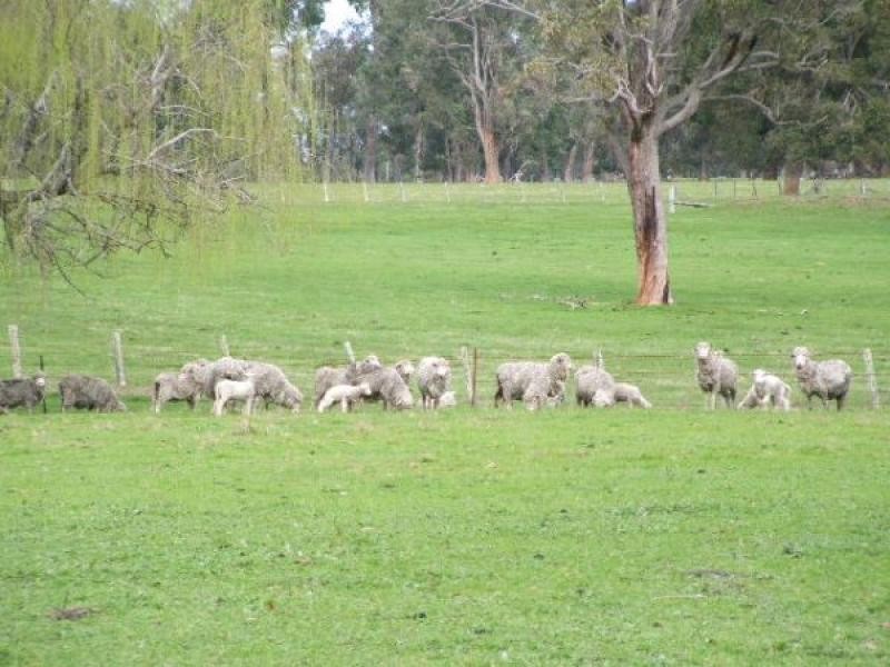 Lot 1 Boyup Brook Donnybrook Rd, Wilga WA 6243