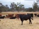 Lot 1 Boyup Brook Donnybrook Rd, Wilga WA 6243