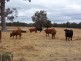 Lot 1 Boyup Brook Donnybrook Rd, Wilga WA 6243