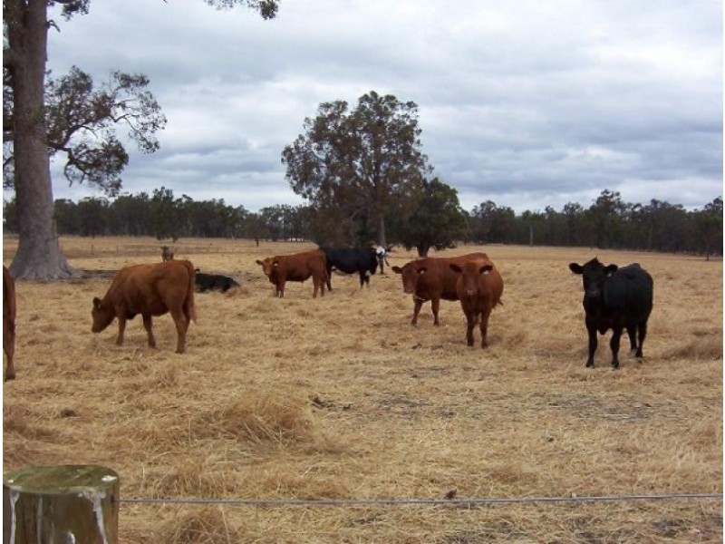 Lot 1 Boyup Brook Donnybrook Rd, Wilga WA 6243