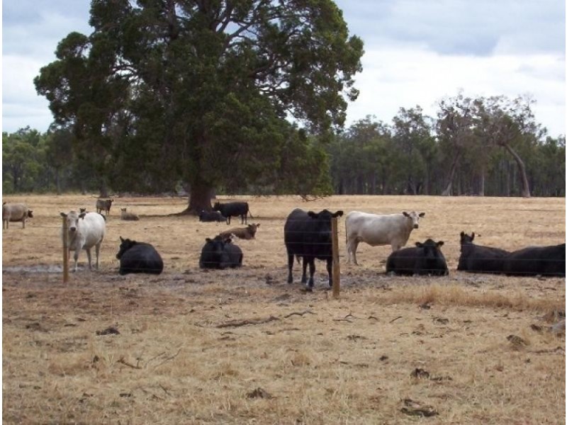Lot 1 Boyup Brook Donnybrook Rd, Wilga WA 6243