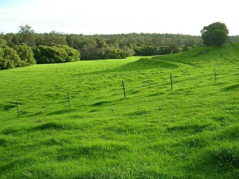 Lot 11 Joshua Brook Rd, Boyanup WA 6237