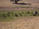 Lot 7900 McCorkindale Rd, Kangaroo Gully, Bridgetown WA 6255