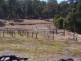 Lot 7900 McCorkindale Rd, Kangaroo Gully, Bridgetown WA 6255