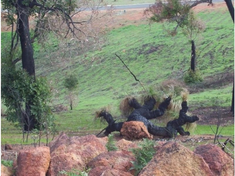 51 Manor Ridge, Bridgetown WA 6255