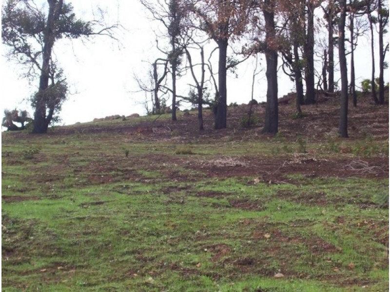 51 Manor Ridge, Bridgetown WA 6255