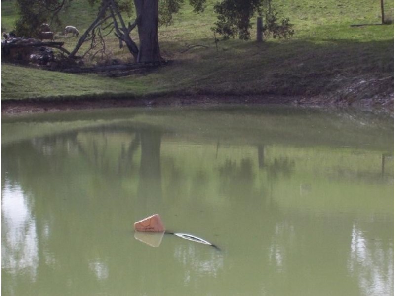 Lot 7900 McCorkindale Rd, Kangaroo Gully, Bridgetown WA 6255