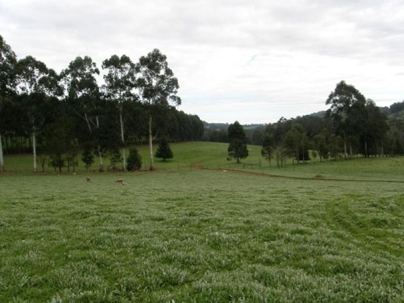 Lot 61 Crowd-Wheatley Rd, Bridgetown WA 6255