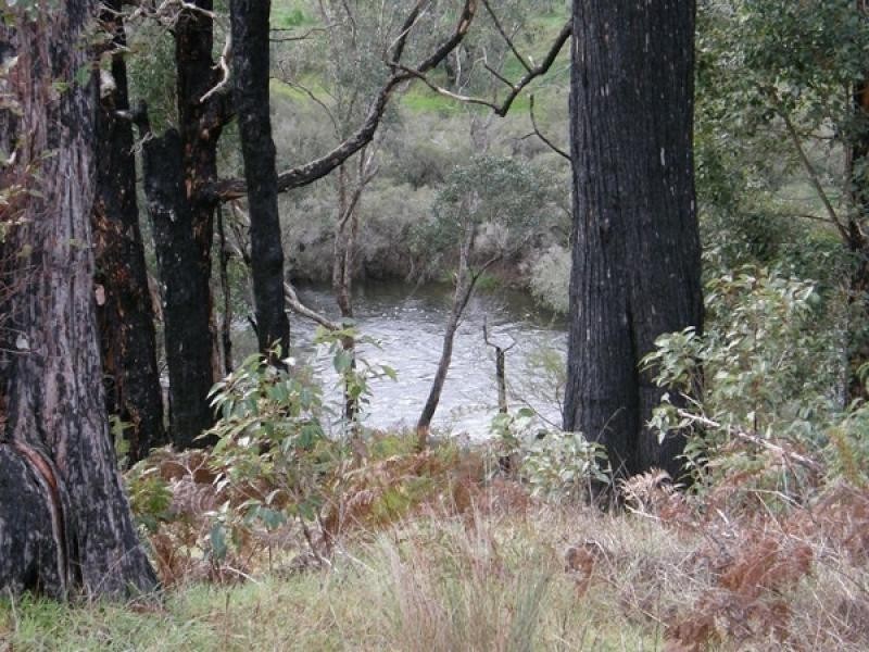 Lot 61 Crowd-Wheatley Rd, Bridgetown WA 6255