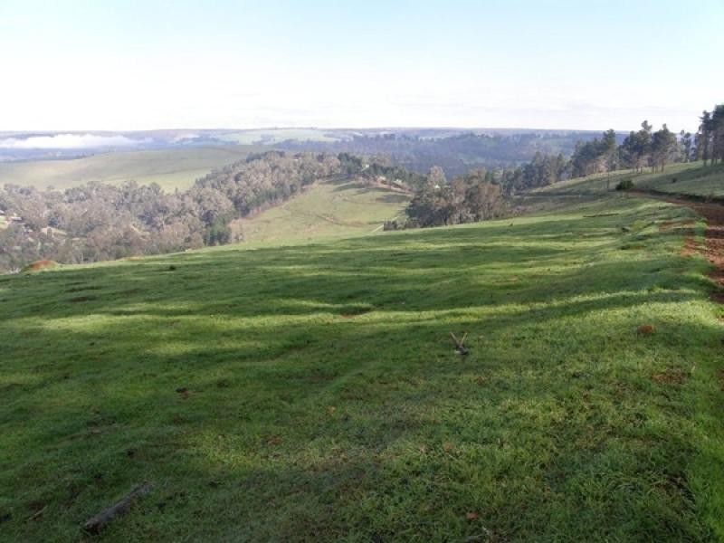 Lot 61 Crowd-Wheatley Rd, Bridgetown WA 6255