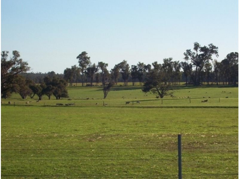 Lot 2487 McAlinden Rd, McAlinden, Boyup Brook WA 6244