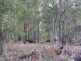 Bridgetown WA 6255
