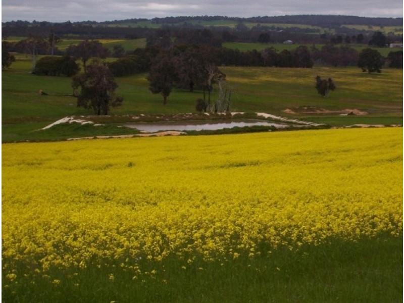 Lot 315 Gibbs Rd, Boyup Brook WA 6244