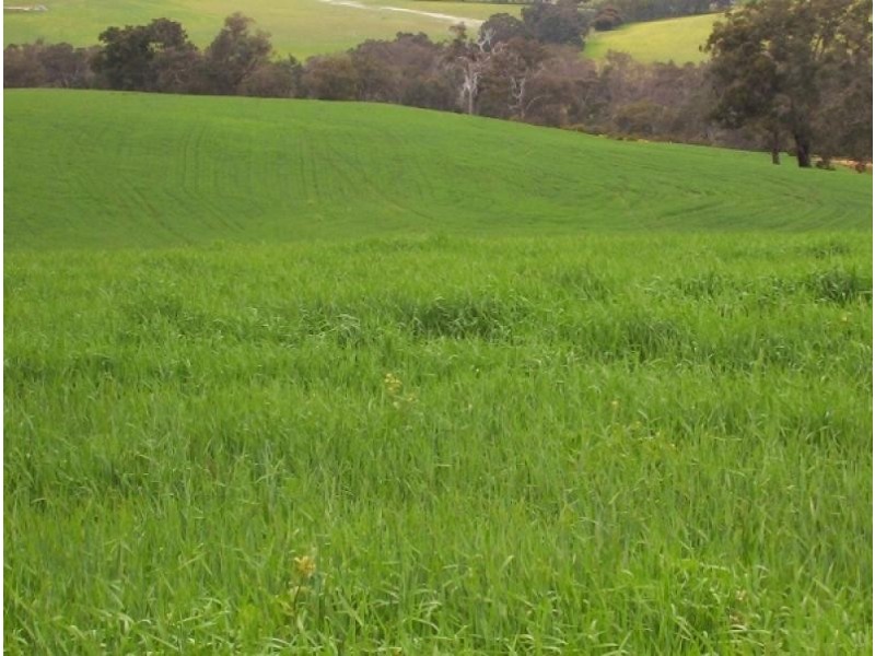 Lot 315 Gibbs Rd, Boyup Brook WA 6244