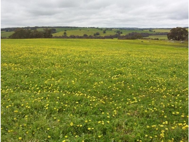 Lot 315 Gibbs Rd, Boyup Brook WA 6244