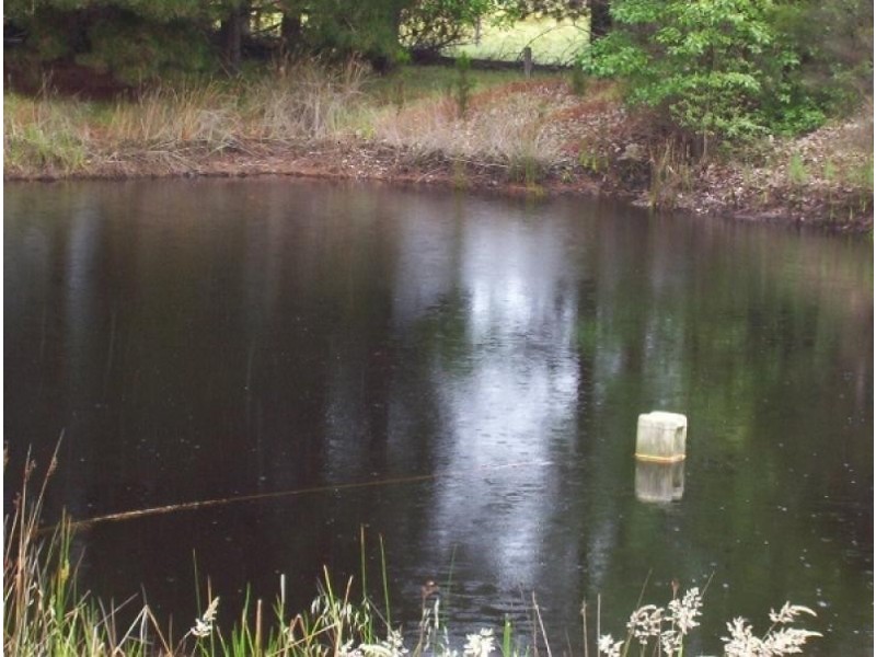 Loc 3794 Wade Rd, Boyup Brook WA 6244