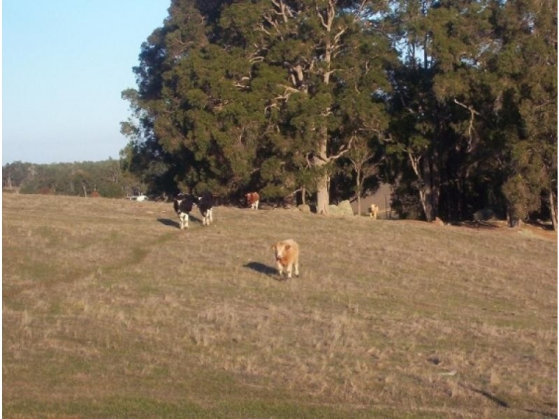 Lot 2 Hundley Rd, Noggerup Via Donnybrook, Donnybrook WA 6239
