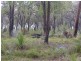 817 Blue Squill Dve, Lower Chittering WA 6084