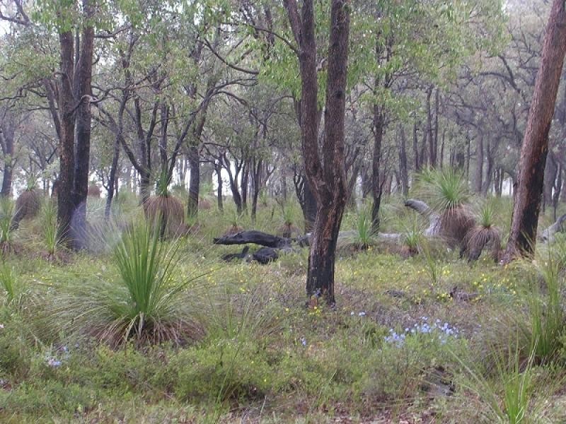 817 Blue Squill Dve, Lower Chittering WA 6084