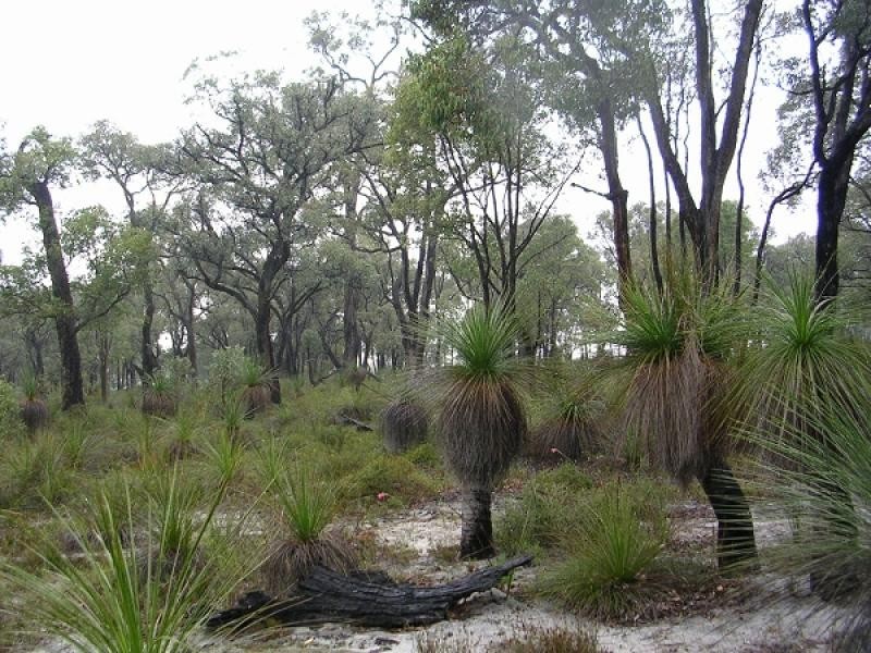 817 Blue Squill Dve, Lower Chittering WA 6084