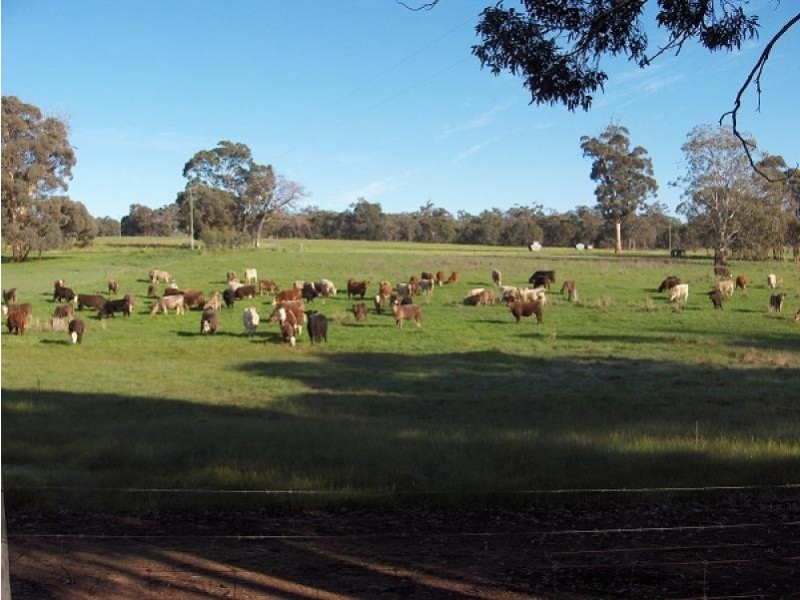 80 Beach Rd, Moondyne WA 6567