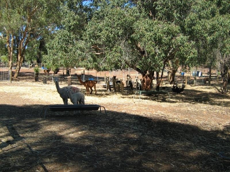 215 HART DRIVE, Chittering WA 6084