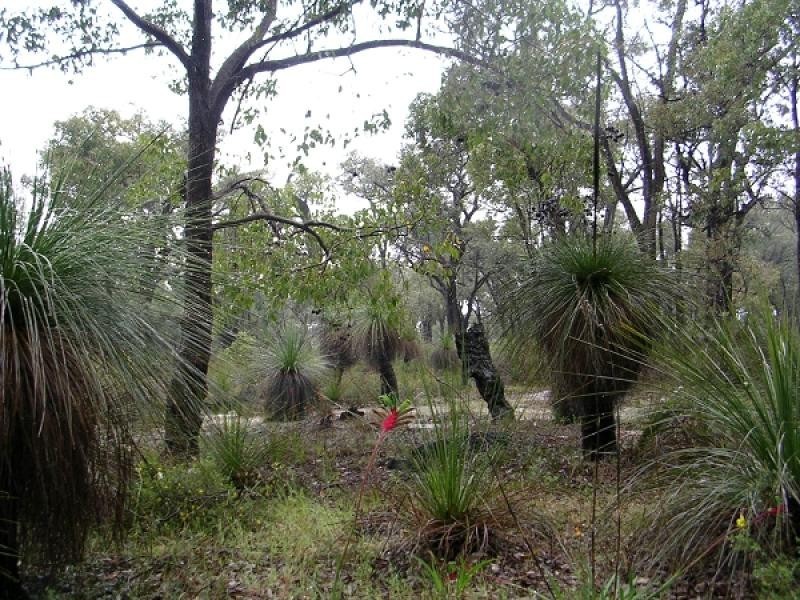 Lot 811 Blue Squill Rd, Lower Chittering WA 6084