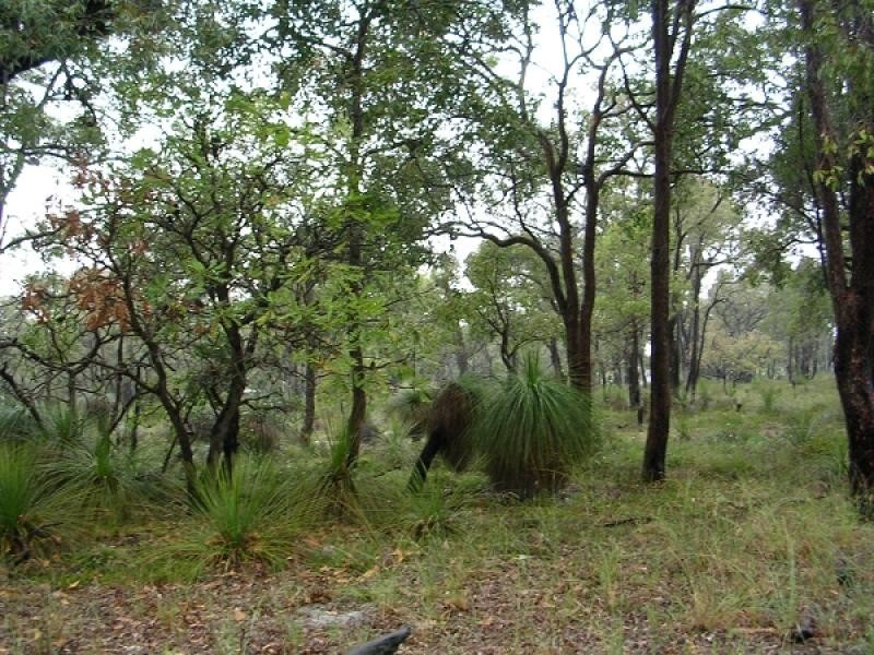 Lot 811 Blue Squill Rd, Lower Chittering WA 6084