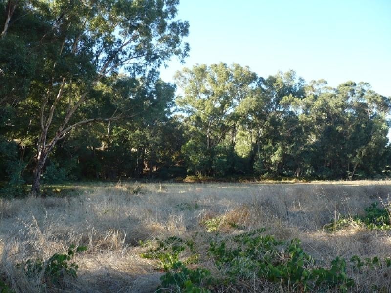 928 Great Northern Highway, Millendon WA 6056