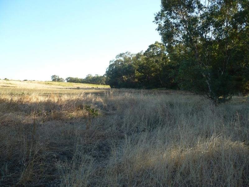 928 Great Northern Highway, Millendon WA 6056