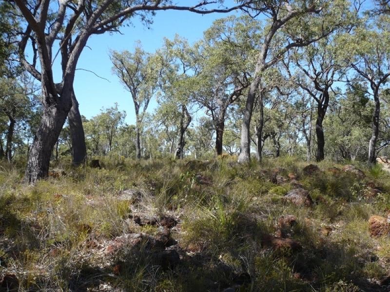 29 Verdelho Pl, Lower Chittering WA 6084
